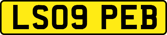 LS09PEB