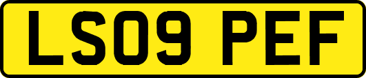 LS09PEF