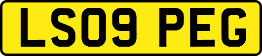 LS09PEG