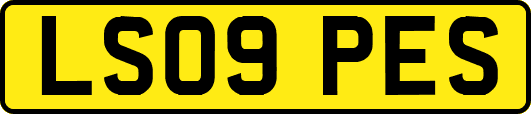 LS09PES