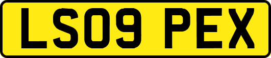 LS09PEX
