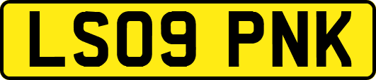 LS09PNK