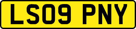 LS09PNY