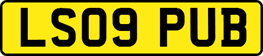 LS09PUB