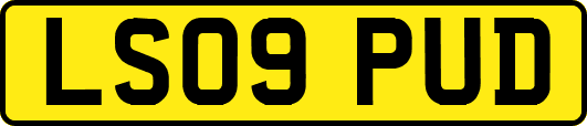 LS09PUD