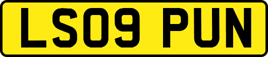 LS09PUN