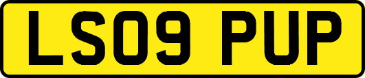 LS09PUP