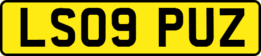 LS09PUZ