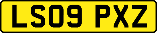 LS09PXZ