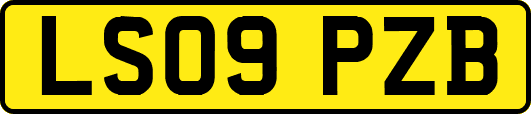 LS09PZB