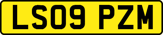 LS09PZM