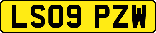 LS09PZW