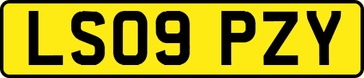 LS09PZY