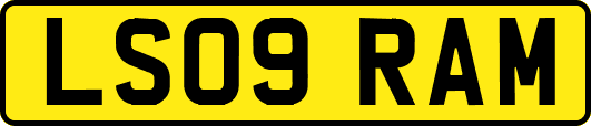 LS09RAM