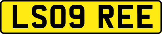 LS09REE