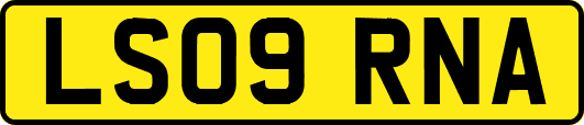 LS09RNA