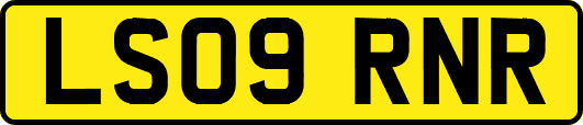 LS09RNR