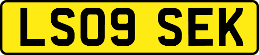 LS09SEK