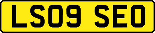 LS09SEO