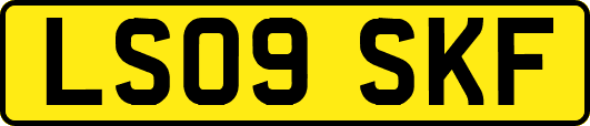 LS09SKF