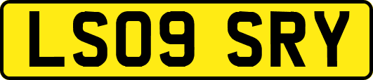 LS09SRY