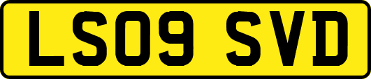 LS09SVD