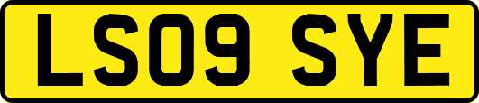 LS09SYE