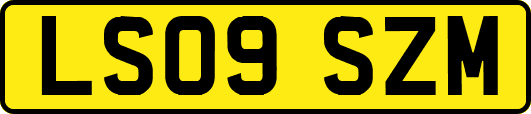 LS09SZM