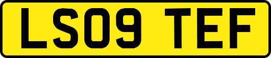 LS09TEF
