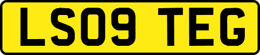 LS09TEG
