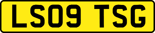 LS09TSG