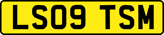 LS09TSM