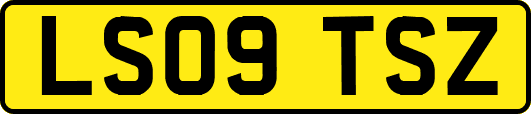 LS09TSZ