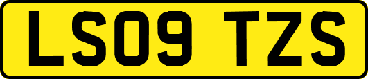 LS09TZS