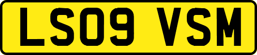 LS09VSM