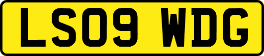 LS09WDG