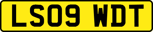 LS09WDT