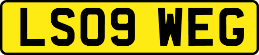LS09WEG