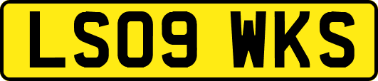 LS09WKS