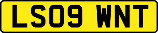 LS09WNT