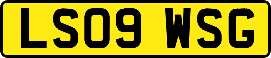 LS09WSG