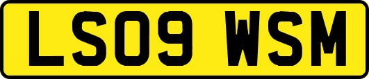 LS09WSM