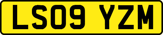 LS09YZM