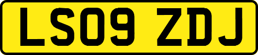 LS09ZDJ