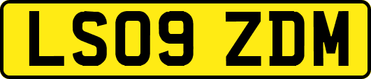 LS09ZDM