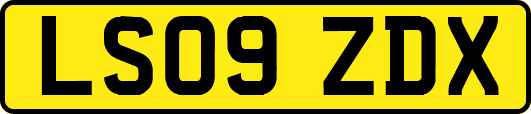 LS09ZDX