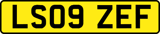 LS09ZEF