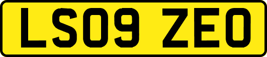 LS09ZEO