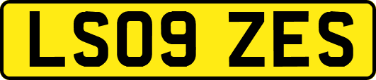 LS09ZES