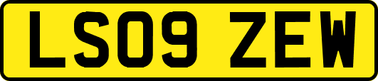LS09ZEW